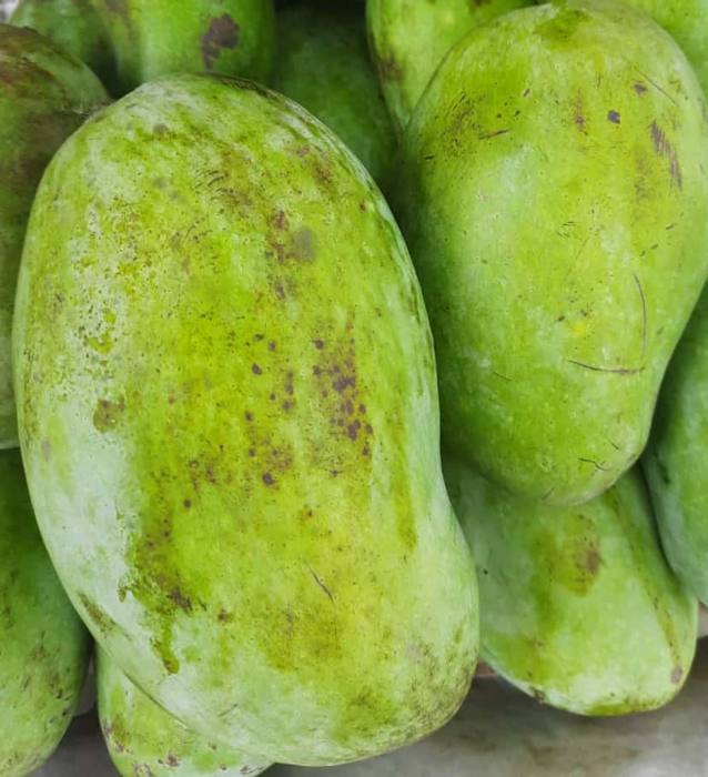 Maldah Mango