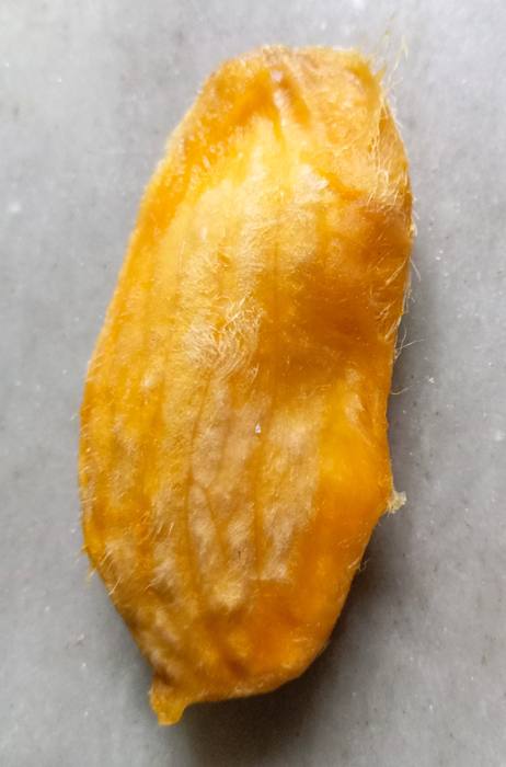 Chausa Mango