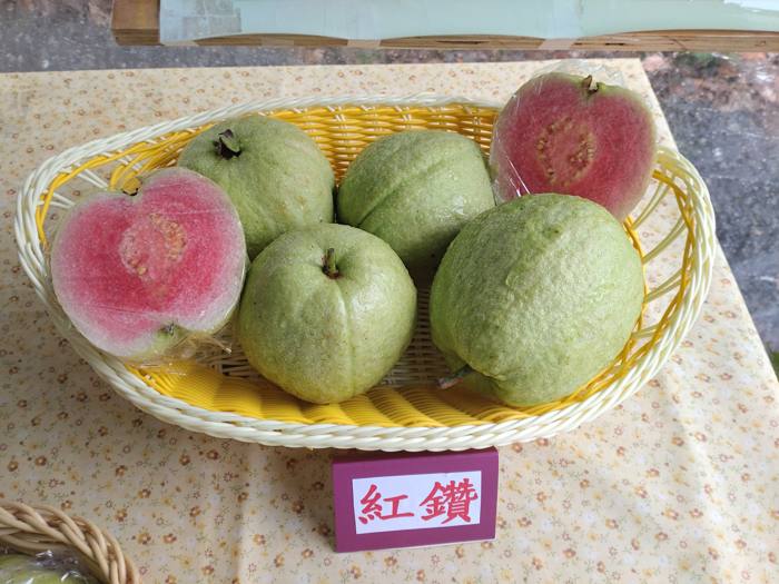 Red Diamond Guava