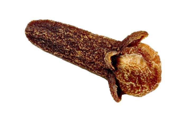Clove