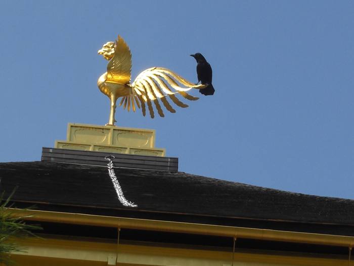 Golden Phoenix